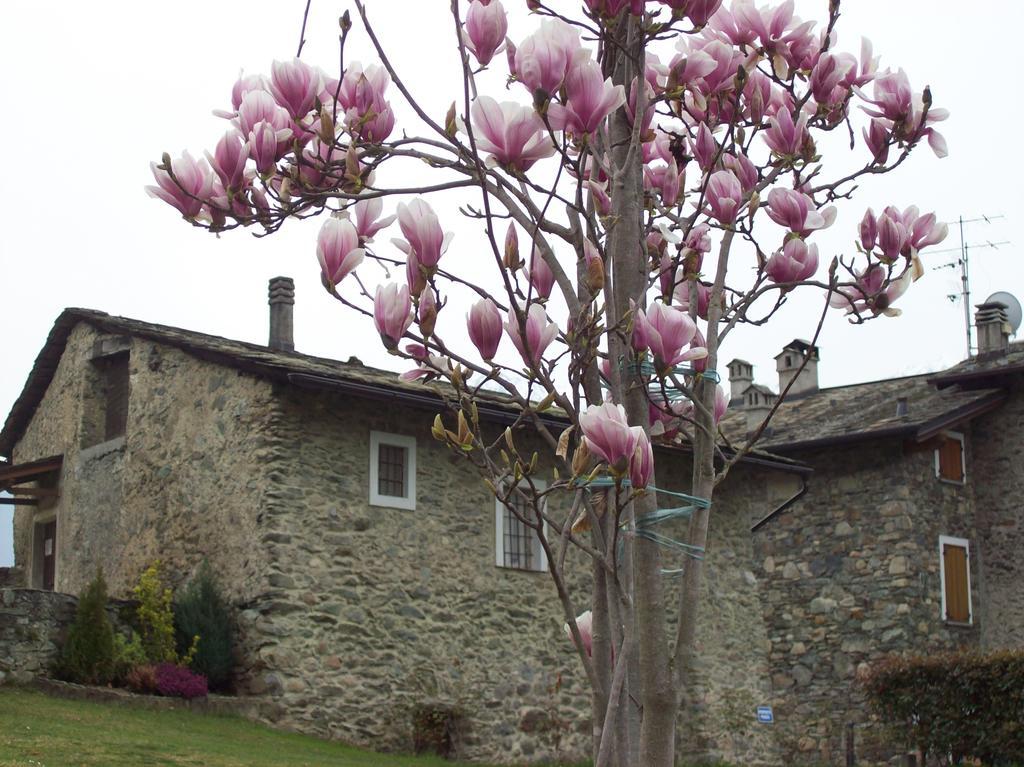 Casa San Martino Villa Teglio Exterior photo